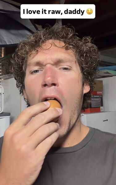 File:Cameron Thomason egg.jpg