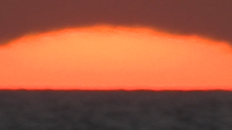 File:Sunset wolfie zoom in.png