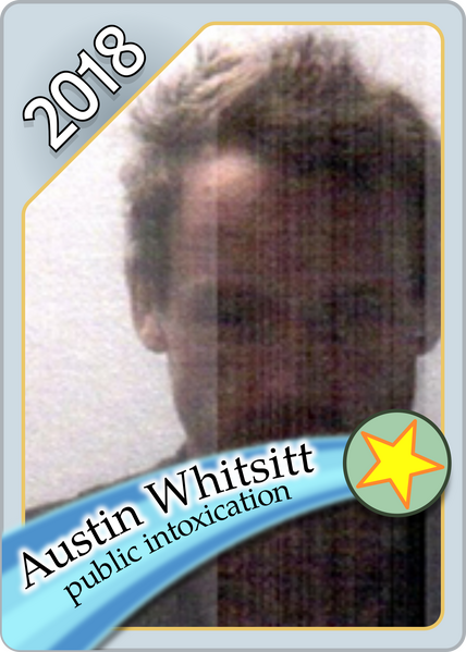 File:Witsit Trading Card 2018.png