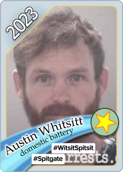 File:Witsit Trading Card 2023.png