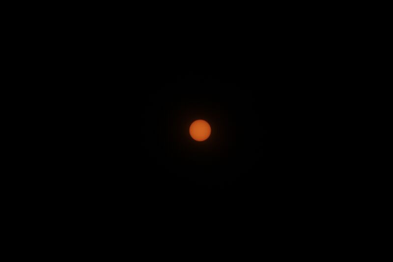 File:Markley - Sunspots - 2024-12-12.JPG