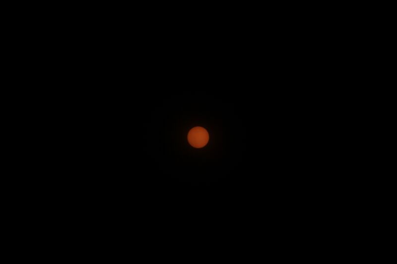File:Markley - Sunspots - 2024-12-16a.JPG