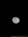Thumbnail for version as of 01:03, 18 December 2024