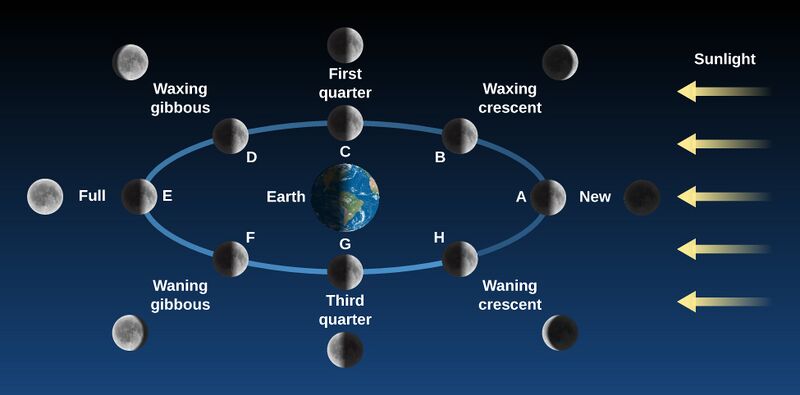 File:Lunar phases.jpg