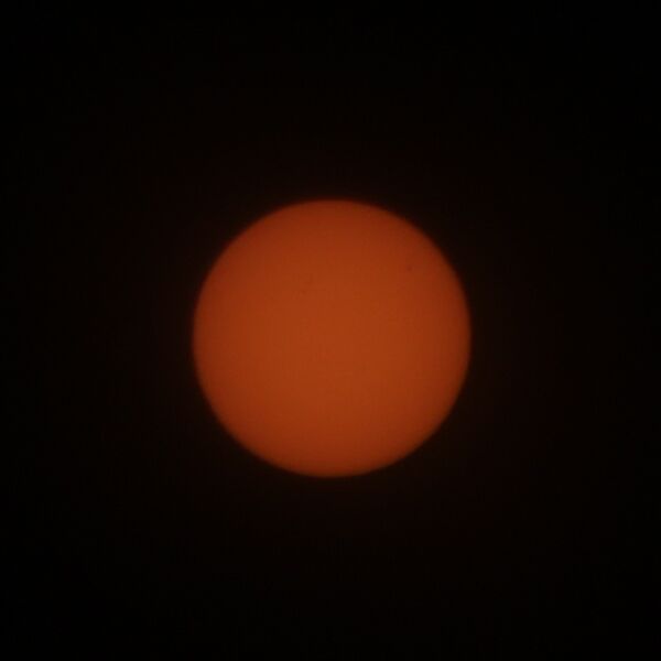 File:Markley - Sunspots - 2024-12-13a.JPG