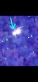 Thumbnail for version as of 01:58, 12 December 2025