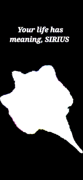 File:Screenshot 20240818 173956 Gallery-stretched-levels.png