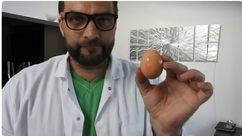 File:This is an egg riley.png