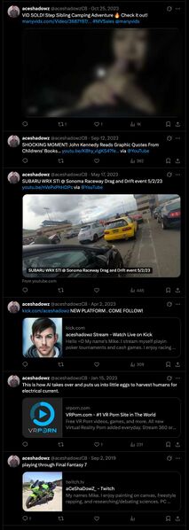 File:AceshadowzCB X redacted 06 posts.jpg